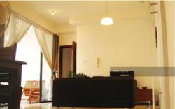 St Patrick's Loft (D15), Apartment #114330162